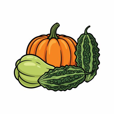 Renkli bir illüstrasyon bir balkabağı, kabak ve iki kavun sergiliyor. Mutfak ya da tarımsal temalar için mükemmel..