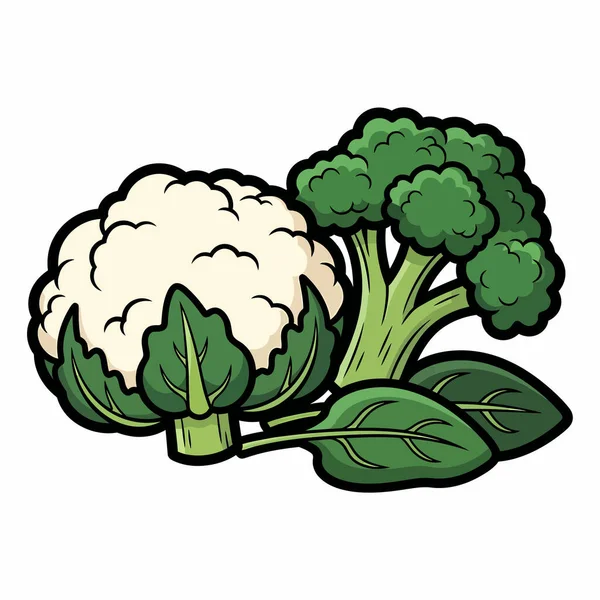 Bir baş karnabahar, bir brokoli çiçeği ve taze ve sağlıklı sebzelerin sergilendiği ıspanak yapraklarının yer aldığı karikatür çizimleri..