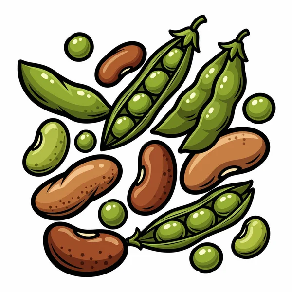 Böbrek fasulyesi, lima fasulyesi ve bezelyeli açık bezelye kabukları da dahil olmak üzere taze fasulye ve bezelye çeşitlerinin yer aldığı renkli bir çizim..