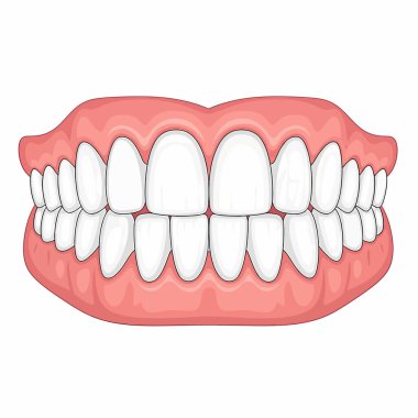 Sağlıklı diş etlerinin arasına yerleştirilmiş insan dişlerini gösteren bir karikatür çizimi, diş anatomisini ön plana çıkarıyor..