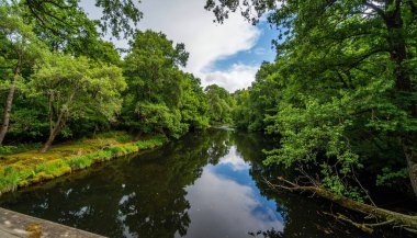 Tranquil Nehri Sahnesi Gökyüzünü Yansıtıyor ve Yeşillik Doğada