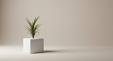 3D görüntüleme. Zeminde bitki olan beyaz bir arka plan. bilgisayar dijital illüstrasyonu