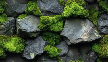 Canlı yeşil yosunlarla kaplı taştan bir duvara yakın çekim yapmak doğal ve dokulu bir zemin oluşturur. Yosun, gri taşlara yaşam ve renk katar..