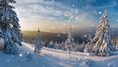 Karla kaplı ağaçlar, yumuşak bir yamaç ve yumuşak, rüya gibi bir gökyüzü içeren pitoresk bir kış sahnesi. Manzara huzur ve sükuneti çağrıştırıyor..