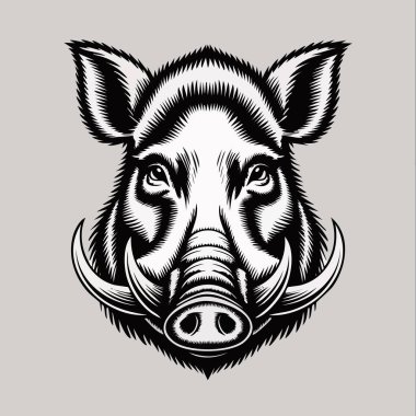Öndeki yaban domuzu kafası yüksek kontrastlı sanat eseri.