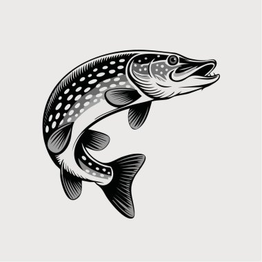 Yüzgeçleri ve ifadeleri vurgulayan biçimlendirilmiş balık illüstrasyonunun yakın görünümü