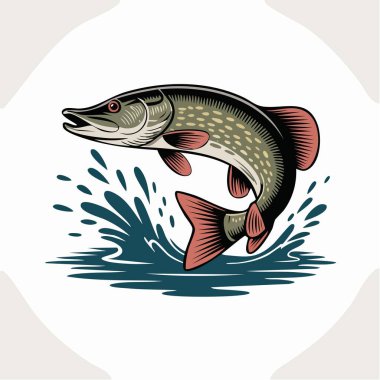 Dalgaların üzerinde yüzgeçleri ve kuyruğu olan sıçrayan alabalığın dinamik çizimi