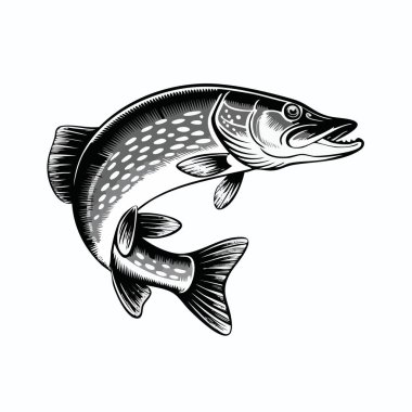 Ana balık konusuna odaklanan detaylı bir siyah beyaz çizim.