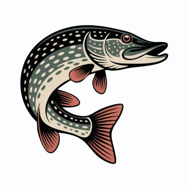 Kalıplı pullar ve yüzgeçler gösteren canlı bir balık çizimi