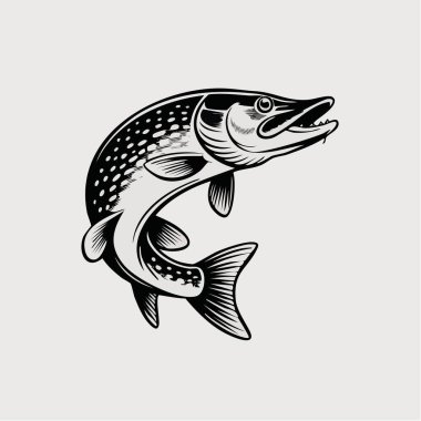 Zıplayan bir balığın tek renkli tasviri balığın kendisine odaklanıyor.