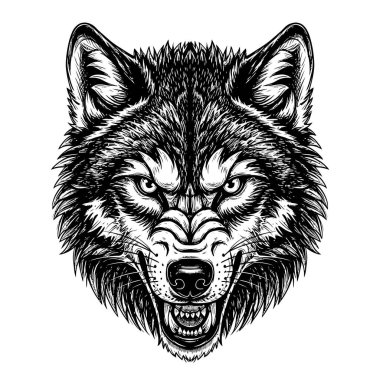 Detaylı çizgili sanat kurdu başı illüstrasyonu hayvan deneğine odaklandı