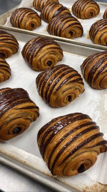 Buttery and flaky pain au chocolat with a golden, crispy crust and rich, melted chocolate filling. A classic French pastry perfect for breakfast or an indulgent snack.