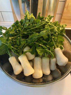 Taze, beyaz turp pürüzsüz, sert cilt ve hafif inceltilmiş şekil, temiz yüzeyi, gevrek dokusu ve doğal topraksı tazeliği ile yakından inceleniyor.