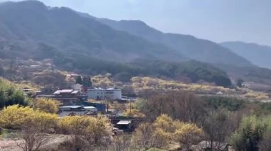 Autumn forest background. Bright color tree, red orange foliage in autumn park. Nature changes Yellow leaves in october season Basking in blue heart shape sky Weather sunny day