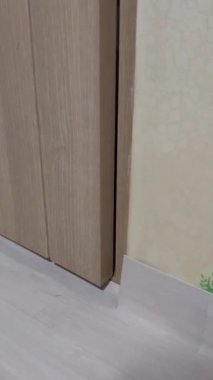 Yumuşak, tüylü, parlak ve meraklı gözlü sevimli bir kedi. Zarafet ve saflığın sembolü, evcil hayvan severler ve kedi meraklıları için mükemmel. Oyuncu, nazik ve karşı konulmaz derecede sevimli.!