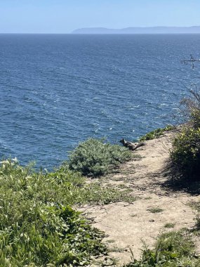 Yumuşak dalgaları ve sakin ufku olan nefes kesici bir deniz manzarası. Gökyüzünün okyanusla buluştuğu huzur, özgürlük ve sonsuz bir ilham kaynağı sunduğu sakin bir sahne..