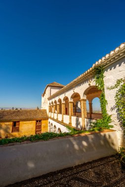 İspanya 'nın güneyinde açık mavi bir gökyüzünün altında beyazlatılmış kemerleri ve terasotta çatıları olan tarihi Endülüs avlusu.