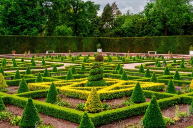 Geometrik çitleri, konik ağaç ağaçları ve yemyeşil çevrede simetrik tasarımı olan resmi İngiliz bahçesi.