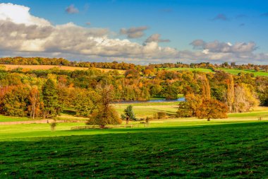 Derby İngiltere 'de renkli sonbahar manzarası Rolling Hills, Green Meadows ve Parlak Mavi Gökyüzü Altında Vibrant Trees