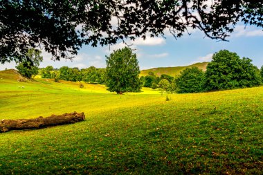 Huzurlu İngiliz Kırsal Çayırı Rolling Hills ve Yeşil Ağaçlarla