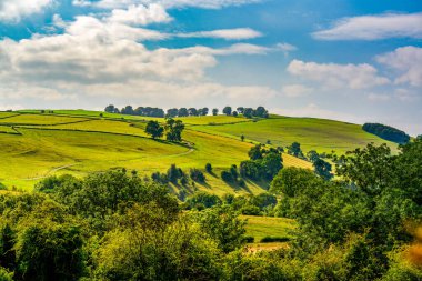 Günışığı İngiliz Kırsal Tepeleri Rolling Fields ve Yaz Yeşilliği