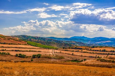 Altın Tarlalı Parlak Yaz Manzarası, Yuvarlanan Teraslı Tepeler ve Güneşli Bulutların Altındaki Uzak Mavi Dağlar