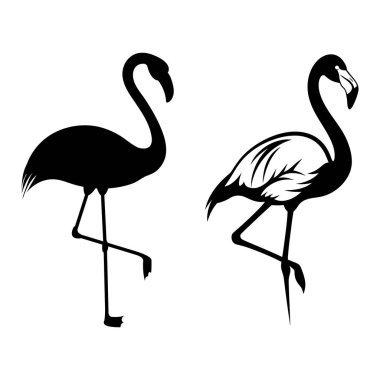 Flamingo Siluetleri Ayrıntılı ve Solid Vektör Resimleri