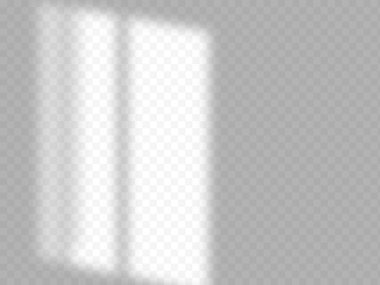 Gölge örtüsü etkisi. Pencerenin yumuşak ışığı ve gölgeleri.