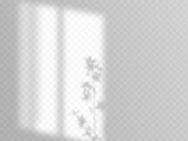 Modern gölge örtüsü, her amaç için harika bir tasarım. Pencereden gelen bulanık yumuşak gölge ve pencerenin dışındaki bitki dalları