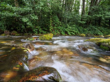 Metaphorical image symbolizing life force, progress, and tranquility, with the soft, white blur of moving water flowing through a stable, green environment.