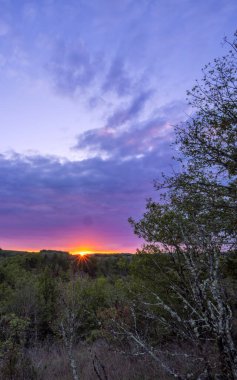 Ufukta parlak bir güneş patlaması olan gün batımının güzel dikey manzarası. Titrek gökyüzü mor ve turuncu bulutlarla dolu..