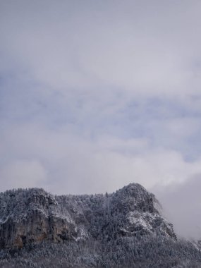 Bulutlu bir gökyüzüne karşı çam ormanı olan karlı bir dağ sırtı minimalist kış manzarası. Metin için alanı olan dikey doğa arkaplanı