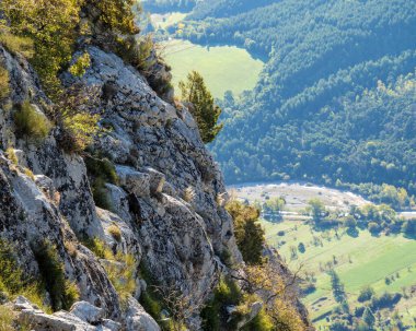 Rupicapra rupicapra adında vahşi bir dağ keçisi dikkatle Fransız Alpleri 'ndeki bir vadinin tepesindeki dikey kireçtaşından aşağı iniyor.