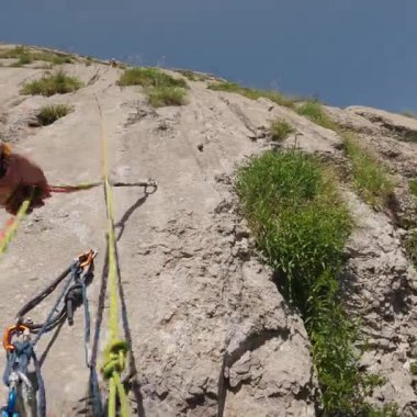 Kare Biçimli Yavaş Hareket: Kelebek Güvenlik Dişlilerinin Çevresinde Uçuyor