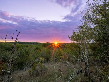 Güneş, mor ve menekşe rengi gökyüzünün altındaki yoğun yeşil yaprak döken bir ormanın üzerinde batarken parlak bir güneş ışığı etkisi..