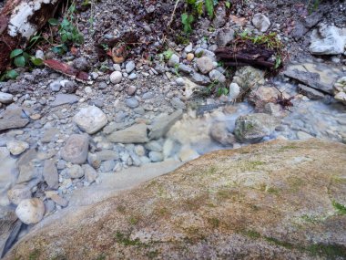 Küçük bir ormanın yüksek açılı manzarası ipeksi akan su, yosunlu kayalar ve çakıl taşlı nehir yatağında sonbahar yaprakları..