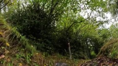 Tekerlekli Tekerleğin Kapanışı Kayalık Dağ Yolu