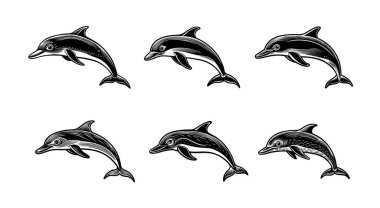 Farklı sanat stillerinde yunusların monokrom vektör illüstrasyonu koleksiyonu