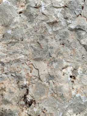 Yıpranmış bir taş yüzeyin detaylı bir yakın çekimi. Toprak bej, pas tonları, organik mineral lekeleri ve doğal dokular soyut, kırsal bir desen oluşturuyor..