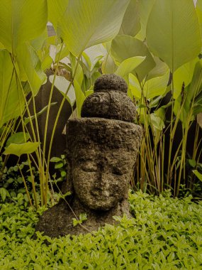 Buda'nın yüzü yeşil yaprak, çiçek ve su içinde belgili tanımlık geçmiş