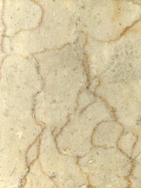 Yumuşak, yıpranmış taş bir yüzeye yakın çekim, ince tahıl, doğal benekler, ve bej ve açık kahverengi yumuşak tonlarda varyasyonlar, sakin, dünyevi ve minimalist estetik çağrıştıran.