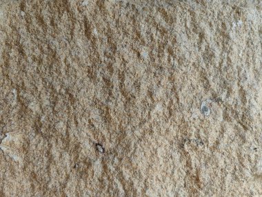 Yumuşak, yıpranmış taş bir yüzeye yakın çekim, ince tahıl, doğal benekler, ve bej ve açık kahverengi yumuşak tonlarda varyasyonlar, sakin, dünyevi ve minimalist estetik çağrıştıran.