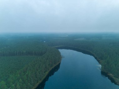 Kashubian Gölü bölgesinde sisli bir gökyüzünün altında, derin yeşil ormanları saran sakin bir göl atmosferik sabah manzarası