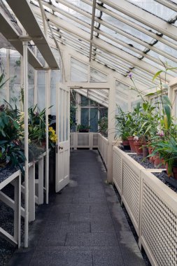 Güneş ışığı, saksı bitkileri ve çiçeklerle dolu geleneksel bir konservatuarın cam çatısında parlıyor.