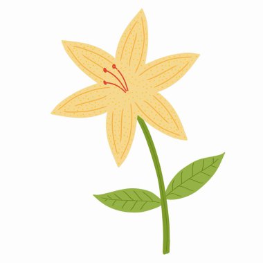 El çizimi sarı zambak çiçek vektör çizimi beyaz arkaplanda izole