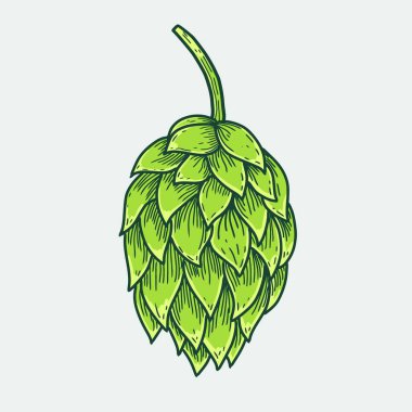 El çizimi yeşil koni vektör çizimi. Renkli vintage bira malzemesi grafiği