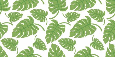 Taze yeşil canavar yaprağı kusursuz desenli vektör çizimi
