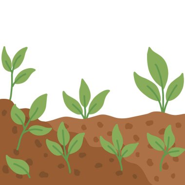 Bahçe toprak vektör illüstrasyonunda yetişen yeşil bitki fidanları. Kahverengi topraktan filizlenen el yapımı yeşil bitkiler.