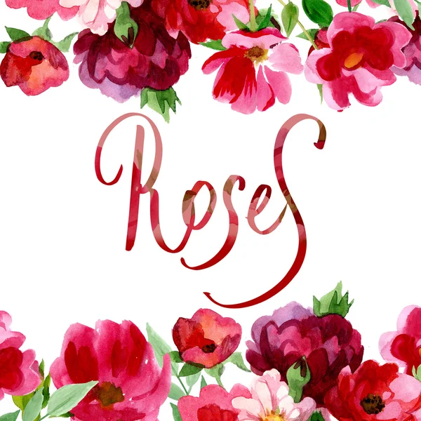 Cartaz de rosas em aquarela — Fotografia de Stock