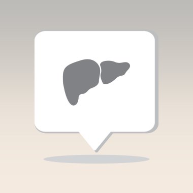 İnsan organı, karaciğer